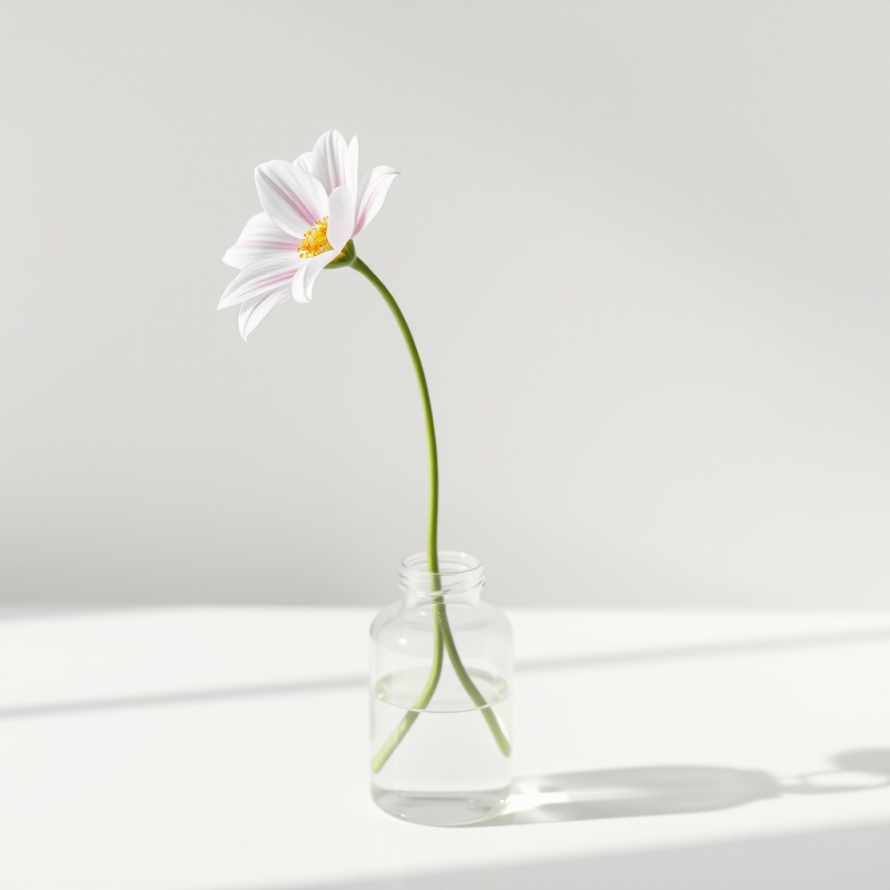 Single Flower in Bud Vase Elegant Simple Beauty